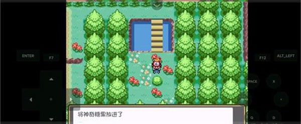 口袋妖怪燃之智3.4内置修改器