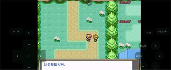 口袋妖怪燃之智3.4内置修改器