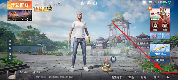 和平精英(国际服)