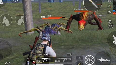 和平精英图片12