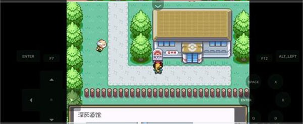 口袋妖怪燃之智3.4内置修改器