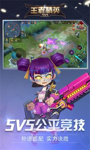 王者精英5V5无敌版