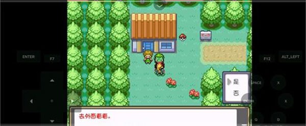 口袋妖怪燃之智3.4内置修改器