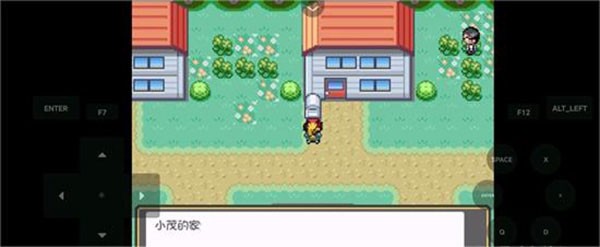 口袋妖怪燃之智3.4内置修改器