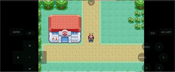 口袋妖怪燃之智3.4内置修改器