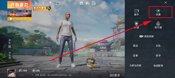 和平精英(国际服)