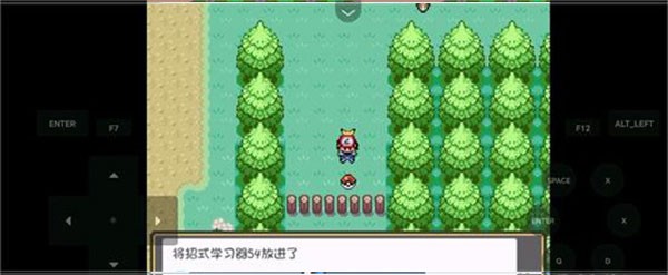 口袋妖怪燃之智3.4内置修改器