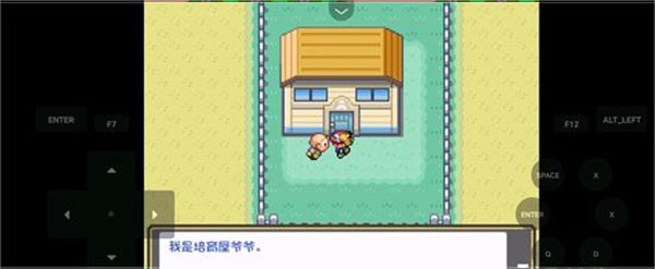 口袋妖怪燃之智3.4内置修改器