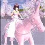 樱花高校捉迷藏最新版