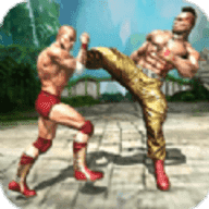 终极格斗大师 1.5