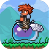 泰拉瑞亚1.4.49000