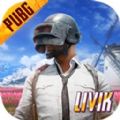 pubg地铁逃生国际服官方版