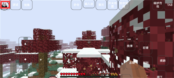 我的世界使命战区国际服