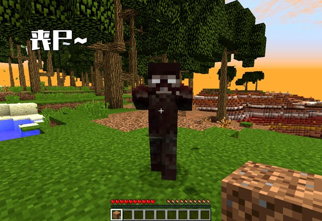 我的世界1.19.2方块宝可梦