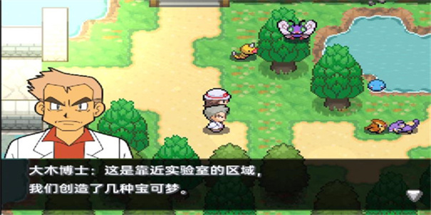 口袋妖怪极夜永昼无相手机版