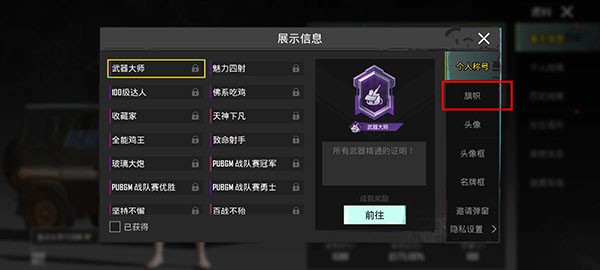 绝地求生:刺激战场(国际服)