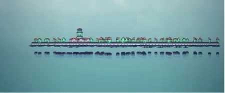 城镇叠叠乐手机版无广告