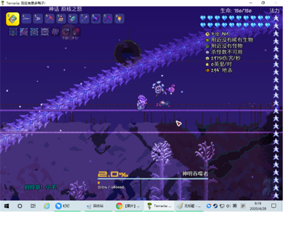 泰拉瑞亚灾厄汉化版