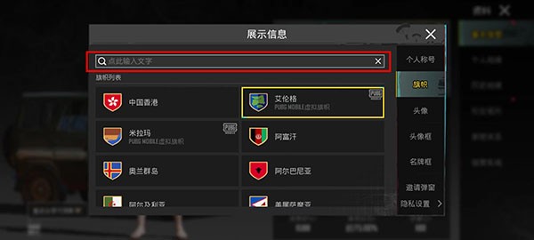 绝地求生:刺激战场(国际服)