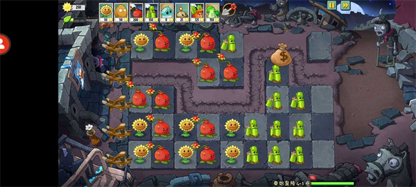 植物大战僵尸universe