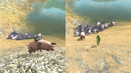 神奇青蛙完整版