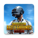 pubg低配版