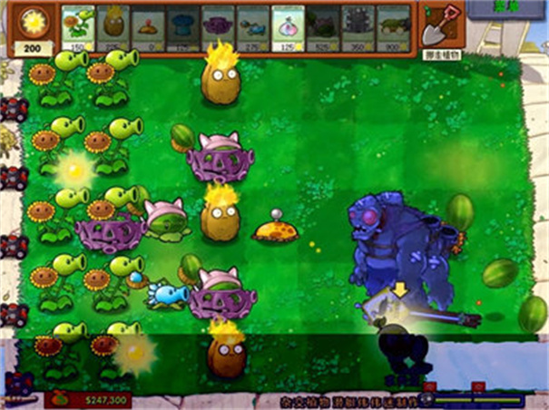 植物大战僵尸杂交版