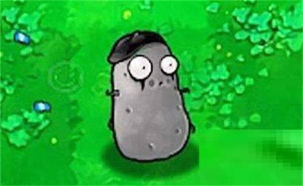 植物大战僵尸95版随机模仿者