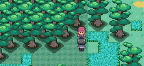 宝可梦迷之规则