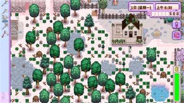 星露谷物语美化直装版