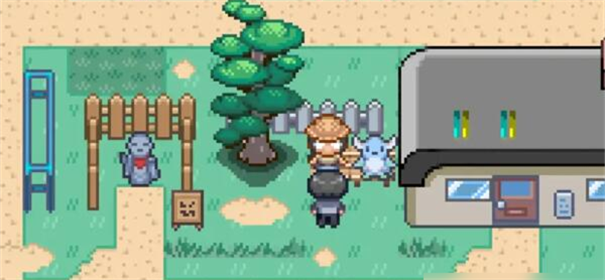 宝可梦迷之规则