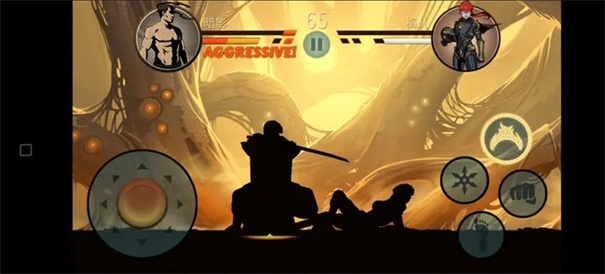 暗影格斗2中文版