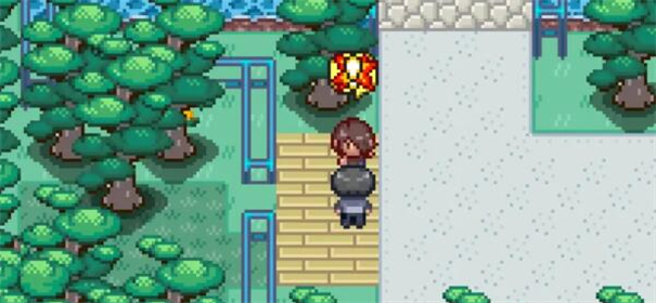 宝可梦迷之规则