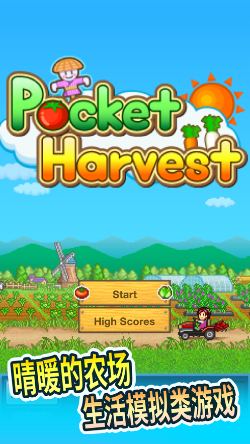 晴空农场物语汉化版