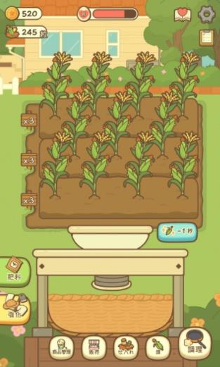 小鸡的爆米花店中文版