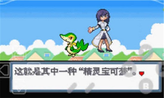 口袋妖怪圣灰汉化版