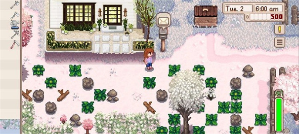 星露谷物语枫姨美化版中文