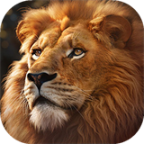 野兽领主新世界国际服