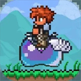 泰拉瑞亚1.4.4.9汉化版