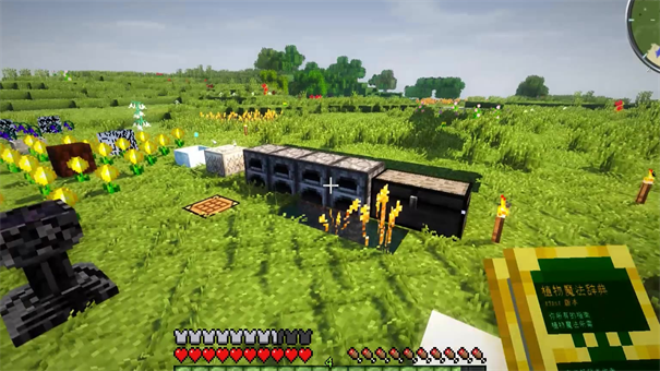 我的世界国际版1.18