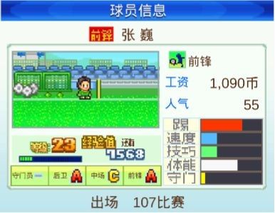 开罗冠军足球物语