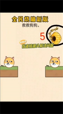 救救狗狗蜜蜂