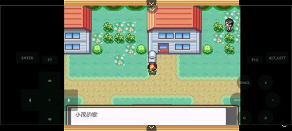 宝可梦燃之智3.3最终汉化版