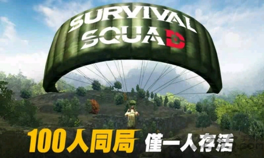 生存小队单机吃鸡