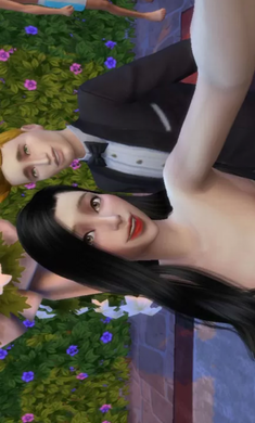 模拟人生4(三宫六院)