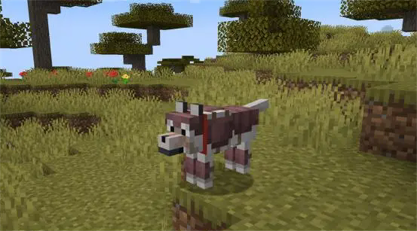 我的世界1.21正式版