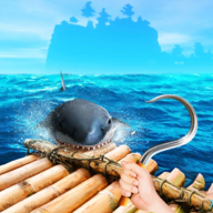 木筏求生联机版小浪同款