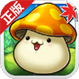 冒险岛联盟的意志联机版