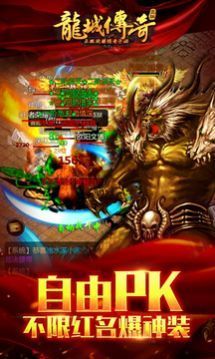 龙城传奇九游客户端