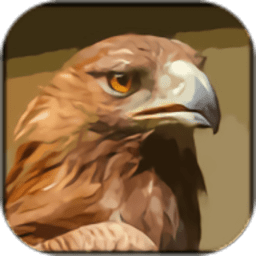 野鹰模拟器游戏